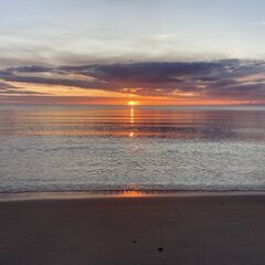 IMG_0598.jpeg IMG 0598
